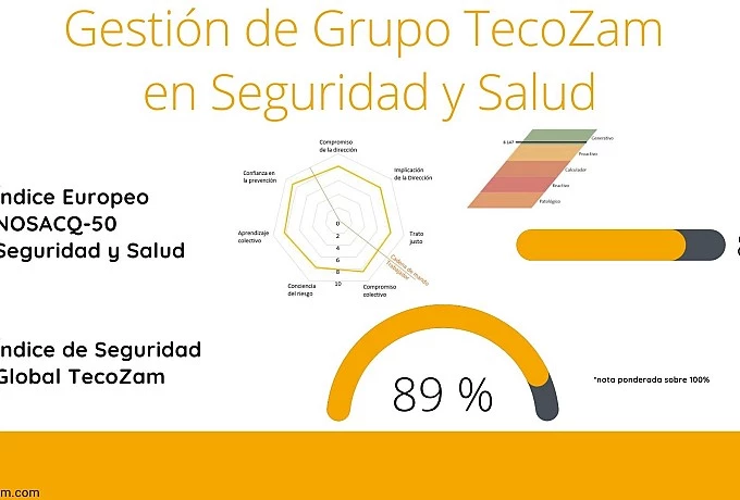 Indicador de Índice Global Seguridad Tecozam